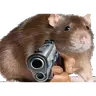 RatWithGun