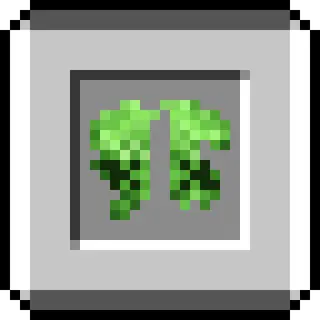 Anniversary 15 Cape