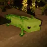 Green Axolotl