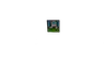 Meme nova Paintings
