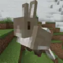 Accurate Rabbits