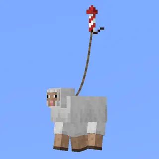 HyperLeash