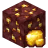 Nether Gold Ore Drops Raw Gold