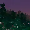 Ethereal Grove