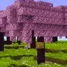 Biome Bonds