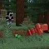 Villager/ Wandering trader drops