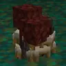Luna's Keep Inventory
