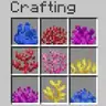 Coral Crafting