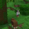 Player Husk
