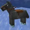 Frost Rider