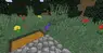 OP Grass