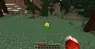 OP Flowers