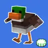 Clucking Ducks