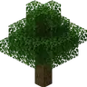 Nature Spirit Origin