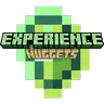 Experience Nuggets