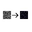 Bedrock to Obsidian