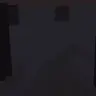 No End Void