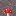 Fungal Mage
