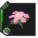 Gracidea Flower Decoration