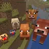 No Animal Variants