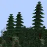 New Big Trees