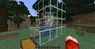 OP Chickens