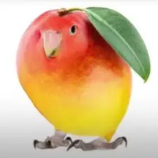 The Mango Bird