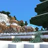 WinterColdSnowyBiomes