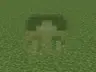Multiplayer Freecam