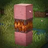 Biome Heart