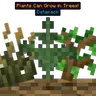 Plants Can Grow in Trees!