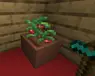 BotanyPots × Farmer’s Delight – Improved Compatibility