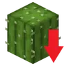 Cactus Is Not That Strong│仙人掌沒那麼強