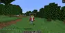 OP Sprinting