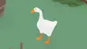 Goose Origin