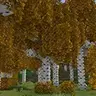 Autumn Forest
