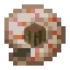 Craftable Nautilus Shells