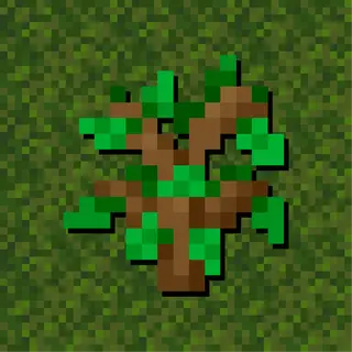Drop & Grow