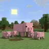 Breeding More