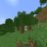 Durability debuff