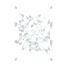 Spider Spits Web│蜘蛛吐絲