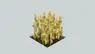 easy harvest crops