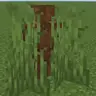 Hide In Grass