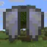 Early Elytras