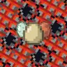 Eggsplode