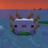 Aggressive Axolotls