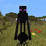 Enderman Chaos