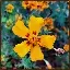 Blooming Canvas