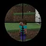 Player's wither hunter