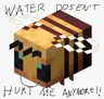 invcibees (water)